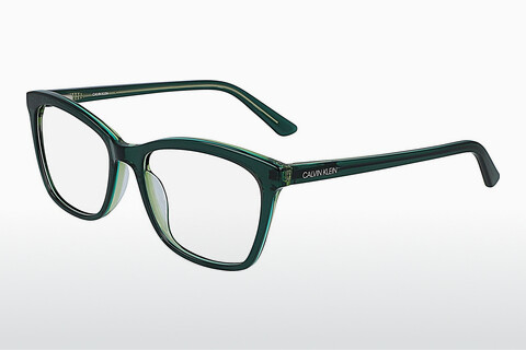 专门设计眼镜 Calvin Klein CK19529 361