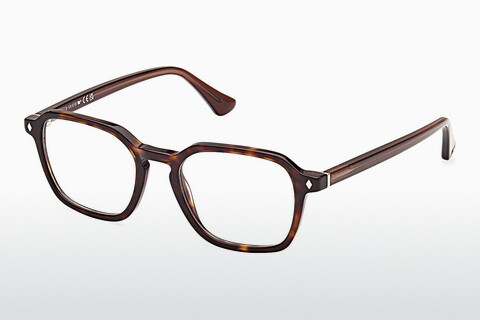 专门设计眼镜 Web Eyewear WE5428 056