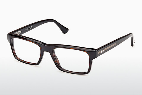专门设计眼镜 Web Eyewear WE5432 056