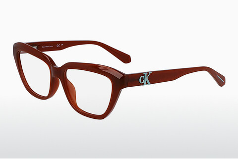 专门设计眼镜 Calvin Klein CKJ23644 210