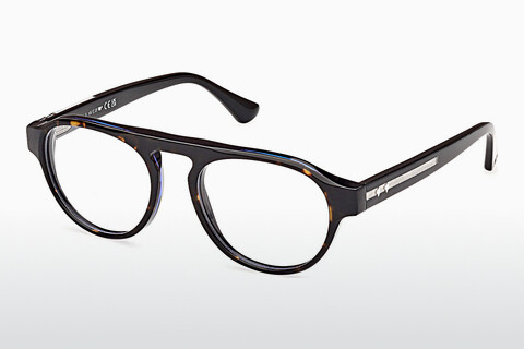专门设计眼镜 Web Eyewear WE5433 056