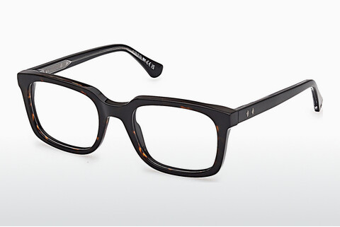 专门设计眼镜 Web Eyewear WE5445 056