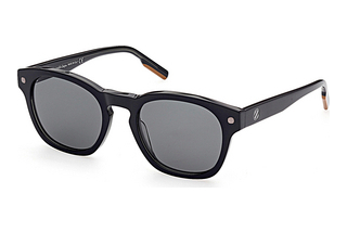 Ermenegildo Zegna EZ0195 05N