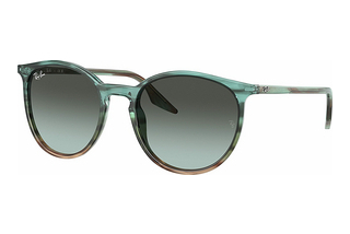 Ray-Ban RB2204 1394GK