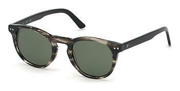 Web Eyewear WE0251 20N