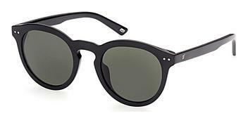 Web Eyewear WE0307 01N