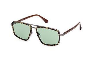 Web Eyewear WE0332 56N