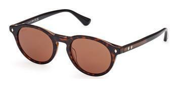 Web Eyewear WE0337 56E