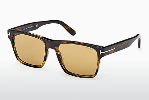 太阳镜 Tom Ford Calder (FT1205 56E)