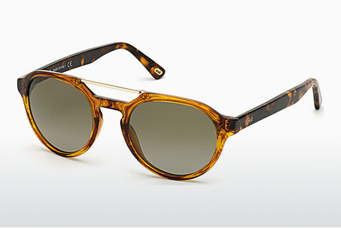 太阳镜 Web Eyewear WE0278 56R
