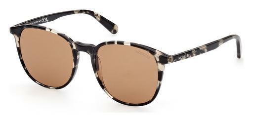 太阳镜 Moncler Luminaire (ML0189 55E)